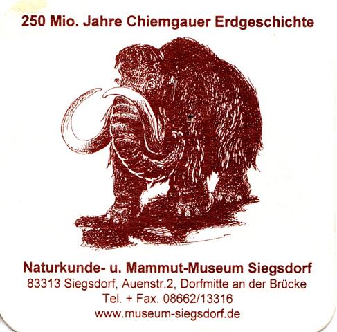 siegsdorf ts-by mammutmuseum 2a (quad185-250 mio jahre-mit fax-braun)